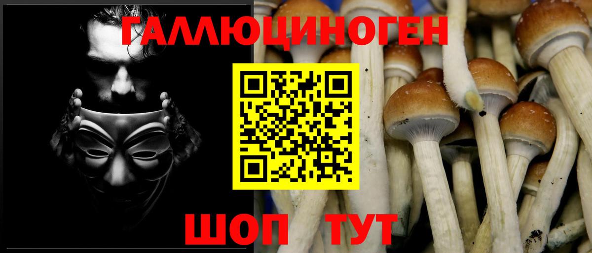 Псилоцибиновые грибы мицелий Кимры